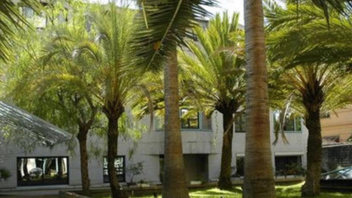 Superbe Studio In Nice At 450M. From The Sea Εξωτερικό φωτογραφία